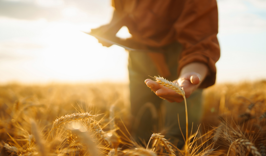 Eskişehirli çiftçilere 230 milyon TL destek!