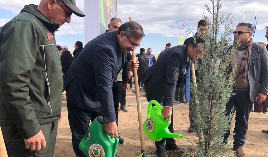 Eskişehir'de bir günde 20 bin fidan dikildi