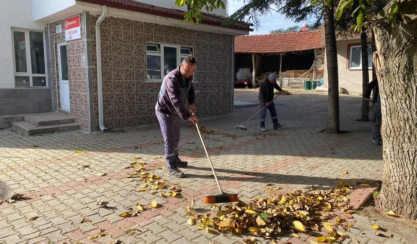 Eskişehir'in o ilçesinde temizlik çalışmaları başladı