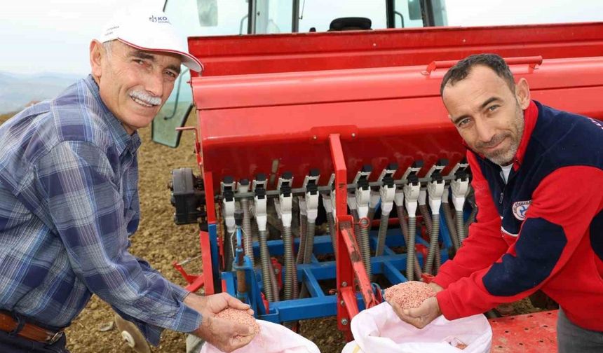 Çiftçilere yüzde 75 hibeli tohum desteği