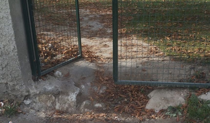 Eskişehir'in o mahallesi bakım bekliyor...