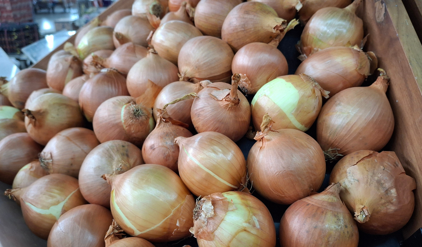 Eskişehir'de 40 bin ton soğan tarlada kaldı