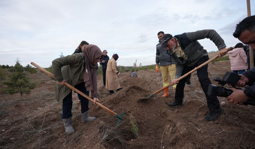 Binlerce fidan toprakla buluştu...