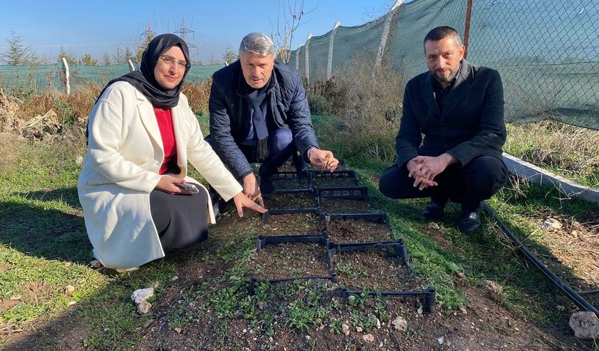 Nesli tükeniyordu, Eskişehir'de yeniden hayat buldu...