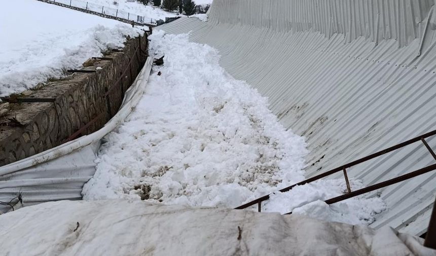 Ahırın tavanı çöktü