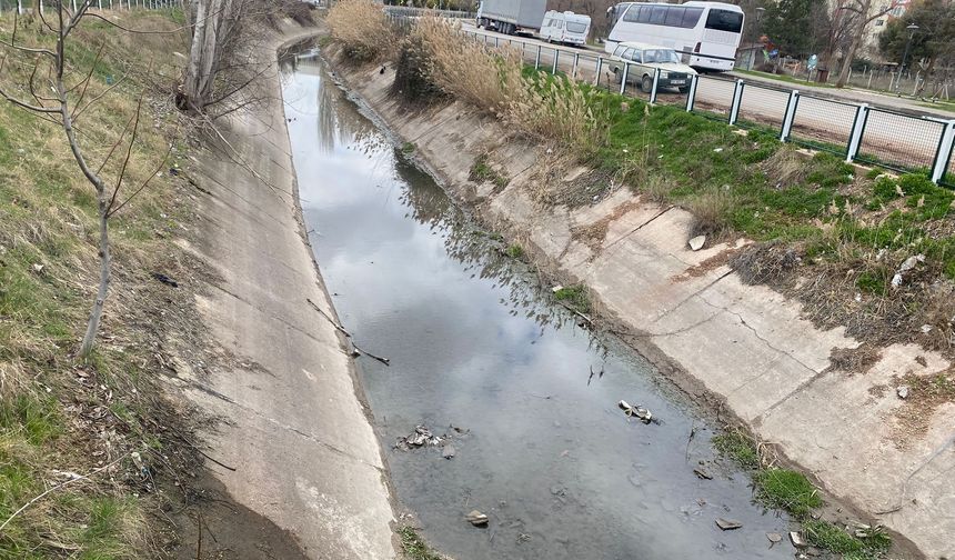 Eskişehir’in su kanalında endişelendiren görüntü!