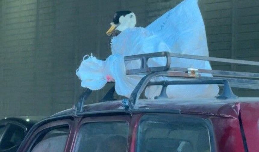 Bu yolculuk görenleri hayrete düşürdü!