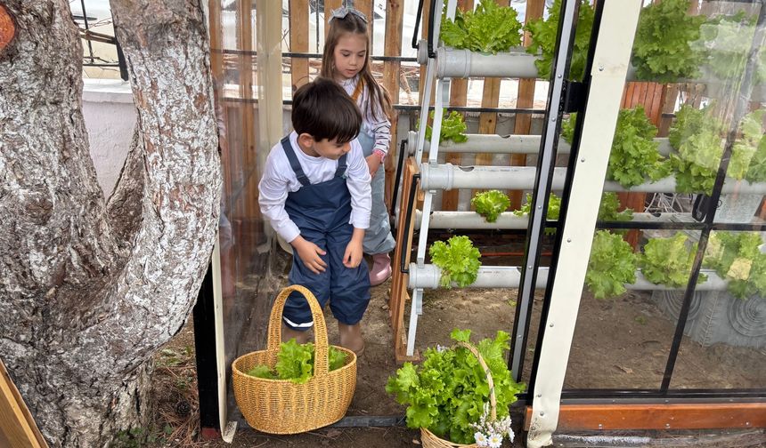 Eskişehir'de küçük ellerin ilk hasadı!