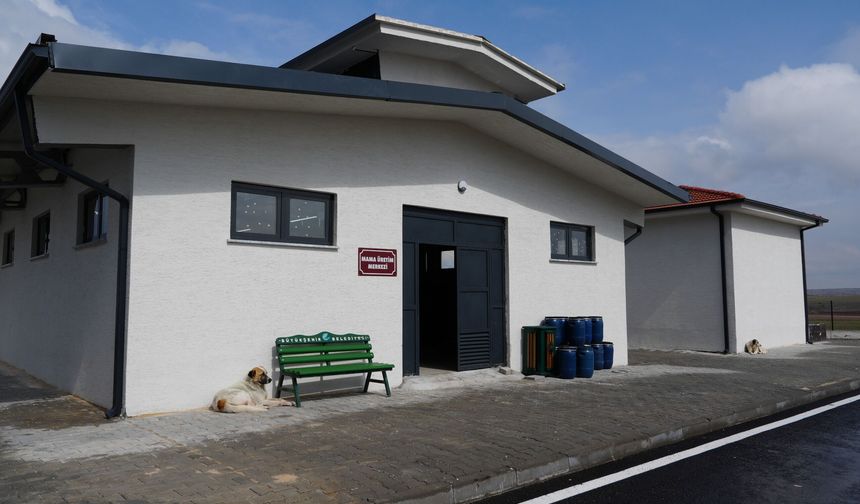 Eskişehir’de mama üretim merkezi açıldı