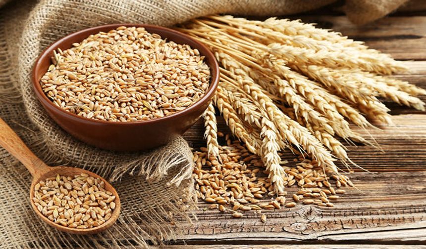 ETİ'den tarıma yerli tohum hamlesi