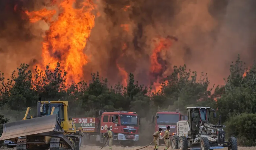 Orman yangınlarıyla ilgili bakanlıktan tepki çeken karar!
