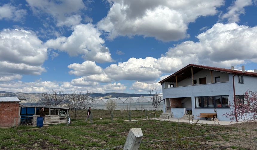 Eskişehir'de tarım arazilerine ceza!