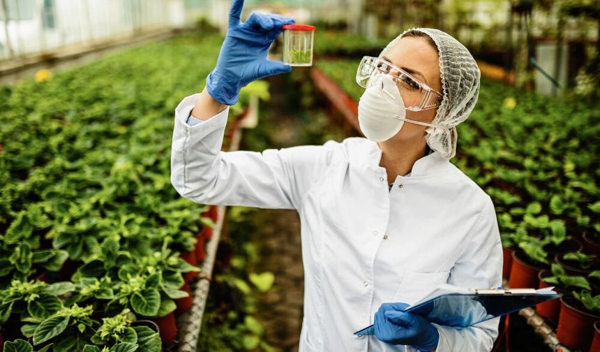 Yazılıkaya Rotary'den önemli çalışma: Zehirlenmeden beslenelim