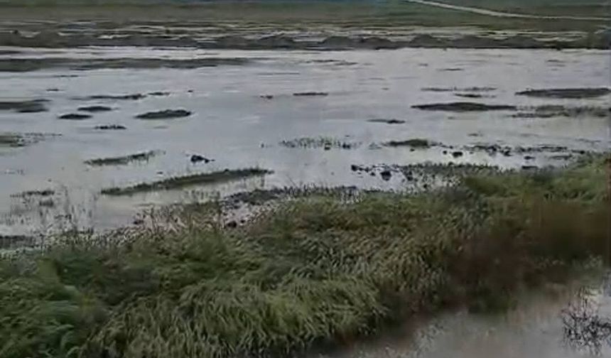 Eskişehir’de aşırı yağış sele neden oldu