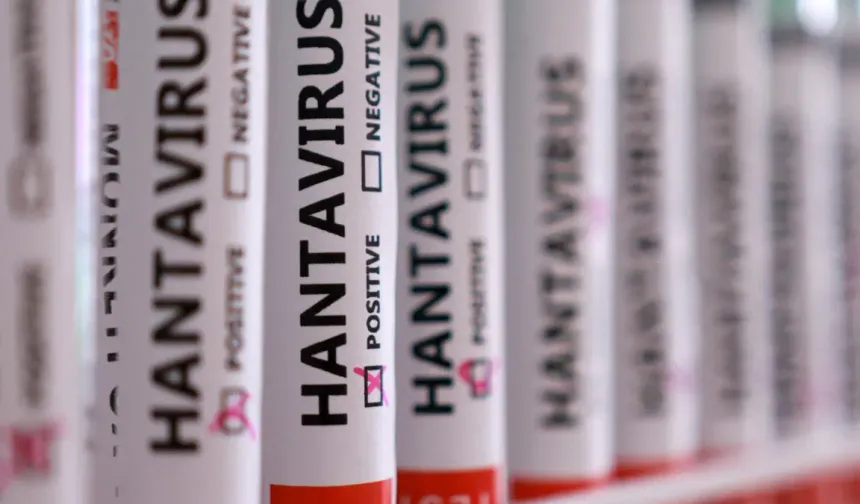 Türkiye’de hantavirüs vakası var mı? Sağlık Bakanlığı açıkladı
