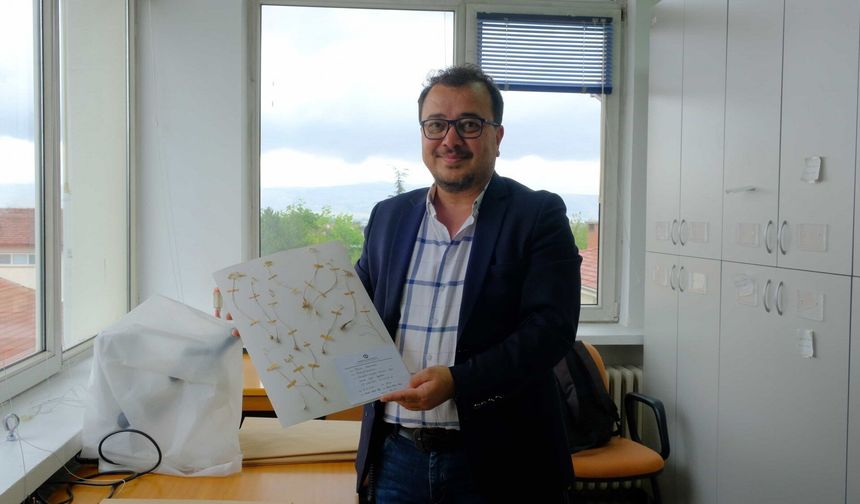 Eskişehir'de keşfedildi! Dünyanın bilmediği iki tür ortaya çıktı