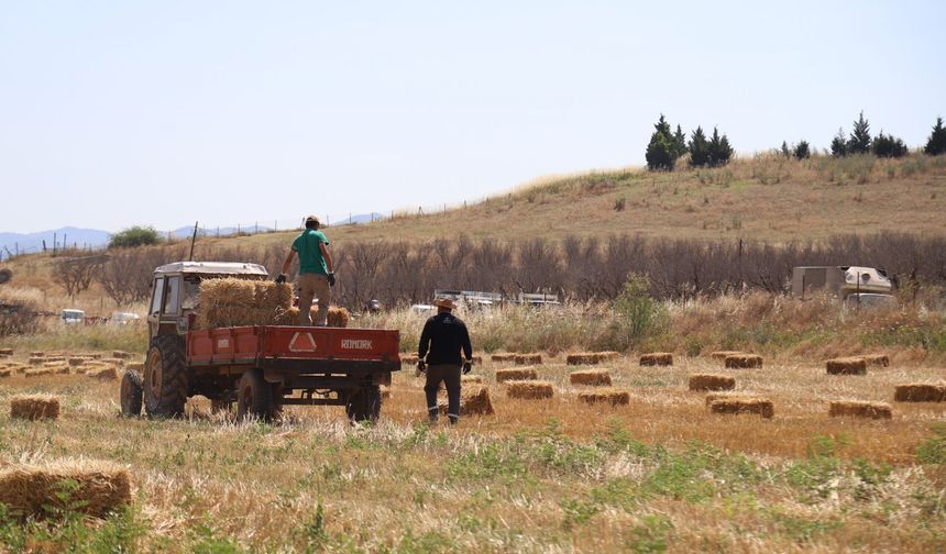 Kırsal kalkınmaya yeni destek!