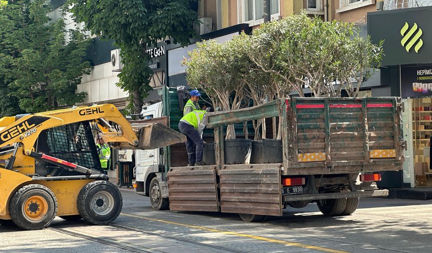 Eskişehir'in o caddesinde bitki düzenlemesi yapıldı