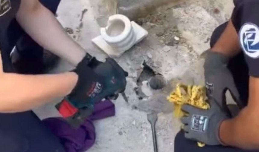 5 metrelik boruda mahsur kalan kediye kamera ile ulaşıldı