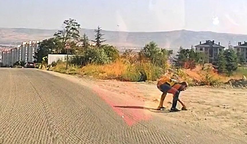 Örnek davranış: Kaplumbağa için trafiği uyardı