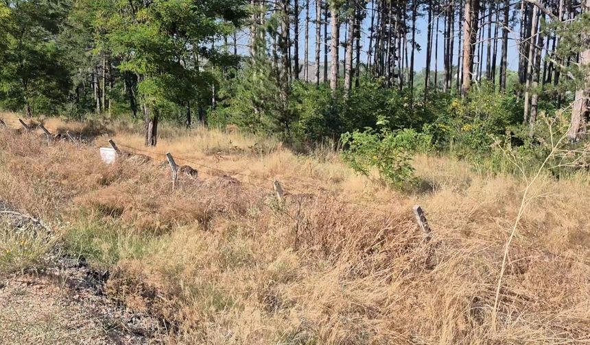 Kızılinler yolunda yangın riski: Muhtardan çağrı