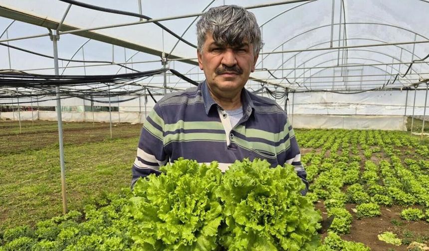 Süleyman Buluşan uyardı: Plansız üretim çiftçiyi vuruyor