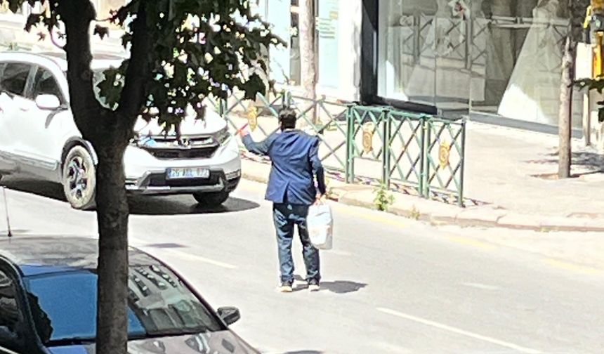 Eskişehir'de ilginç olay: Yolun ortasında trafiği durdurdu