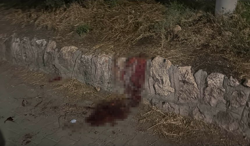 Bıçaklı kavgada yaralanan 17 yaşındaki çocuktan iyi haber