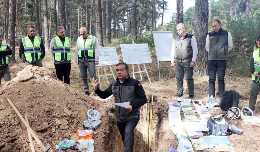Eskişehir’de 62 uzman ormanlara çıktı!