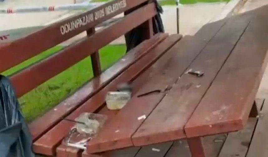 İki Eylül Parkı’nda tepki çeken tahribat