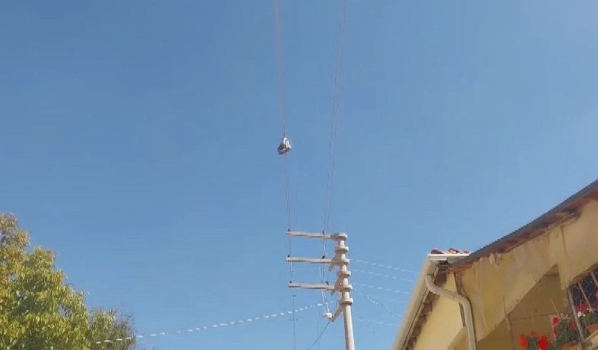 Mahalleli yıllardır bu botlara bakıyor!
