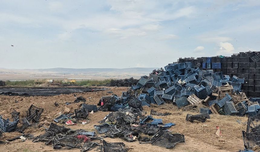 Binlerce plastik kasa alevlere teslim oldu