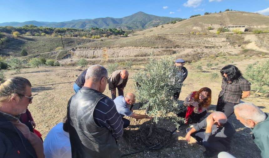 Üreticiler doğru budama tekniklerini öğrendi