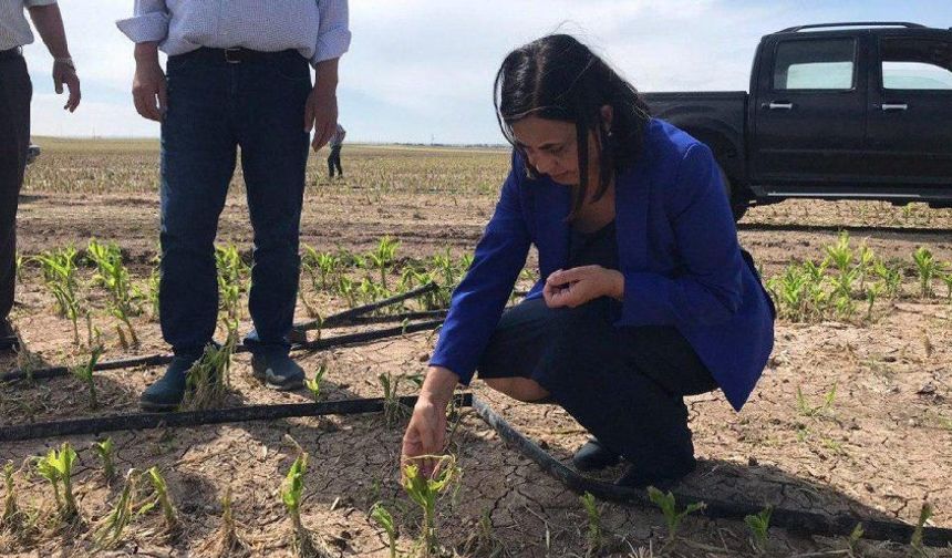 Vekillik bitiyor, bu işlerini öğrenmek gerek…