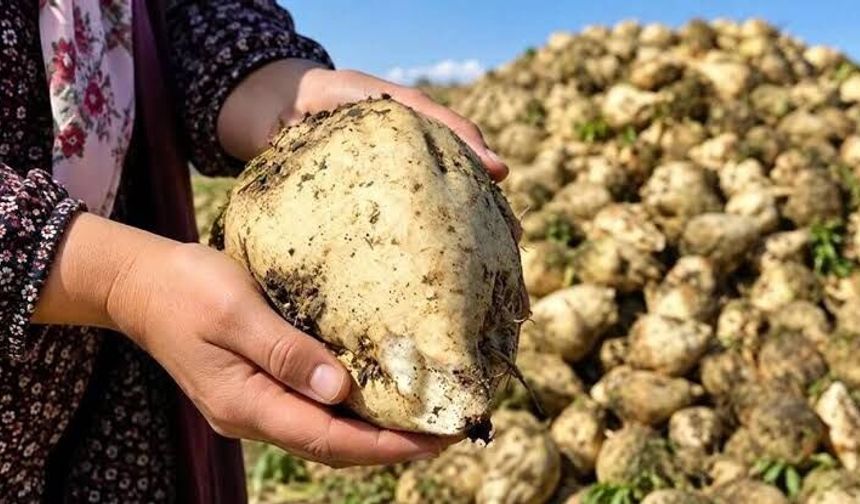 Çiftçi ile nakliyeciyi karşı karşıya getiren maliyet