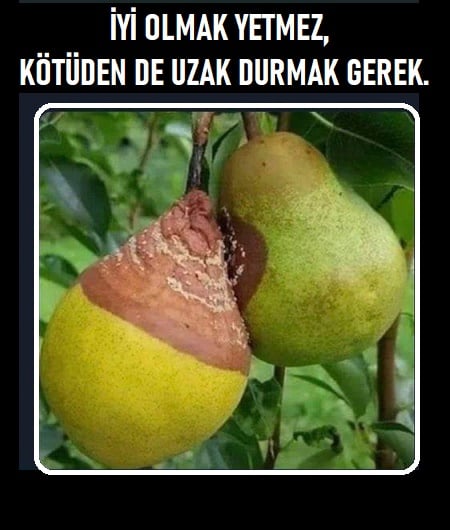 GÜNÜN SÖZ