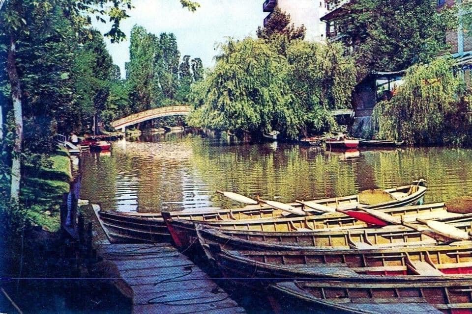 20 Aralık göbeğe foto