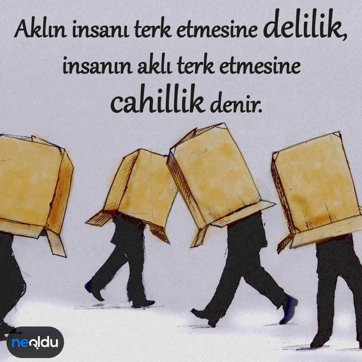 GÜNÜN SÖZÜcaü