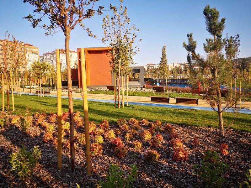 13 haziran göbeğe foto