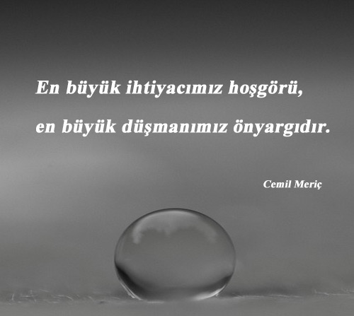 hosgoru-ile-ilgili-sozler-1