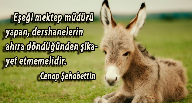 GÜNÜN SÖZÜskz