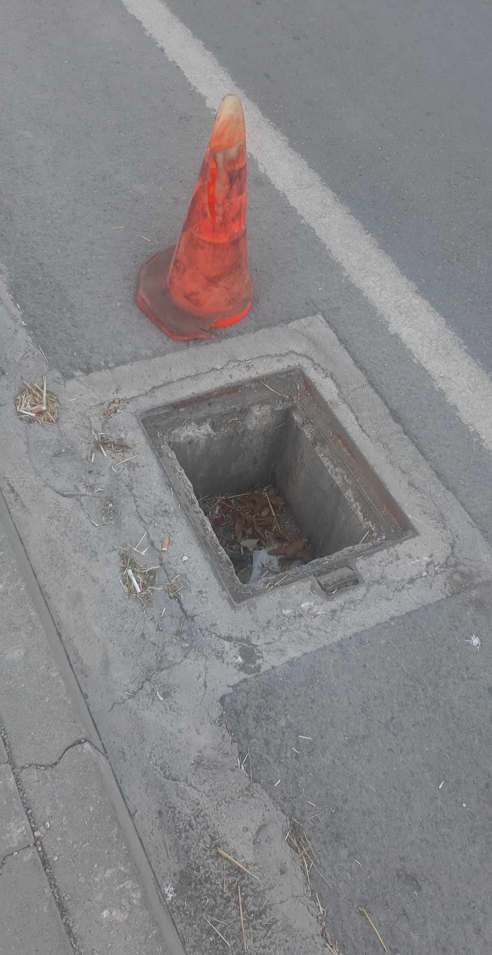 WhatsApp Image 2023-08-11 at 10.32.04