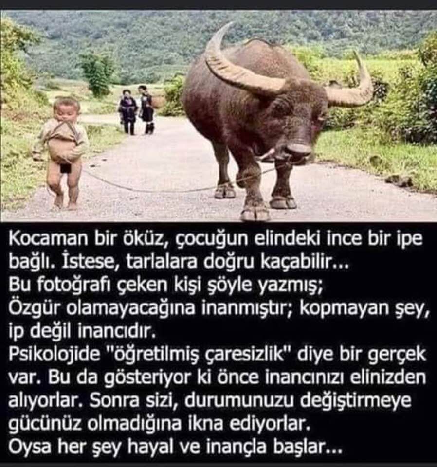 GÜNÜN SÖZÜ-209