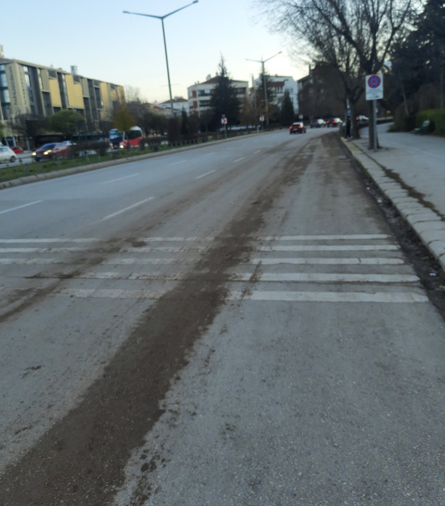 YOL-12