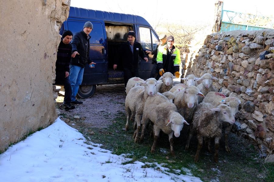 Seyi̇tgazi̇’de Küçük Çi̇ftçi̇ni̇n Yüzünü Güldüren Destek (6)