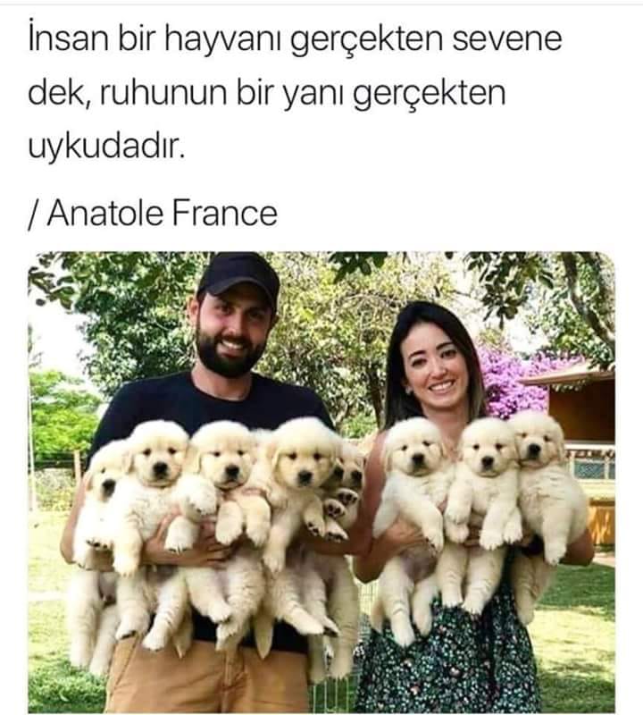 Günün Sözüztç