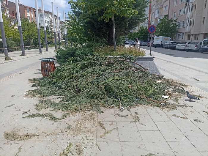 Günlerce Böuyle Durdu