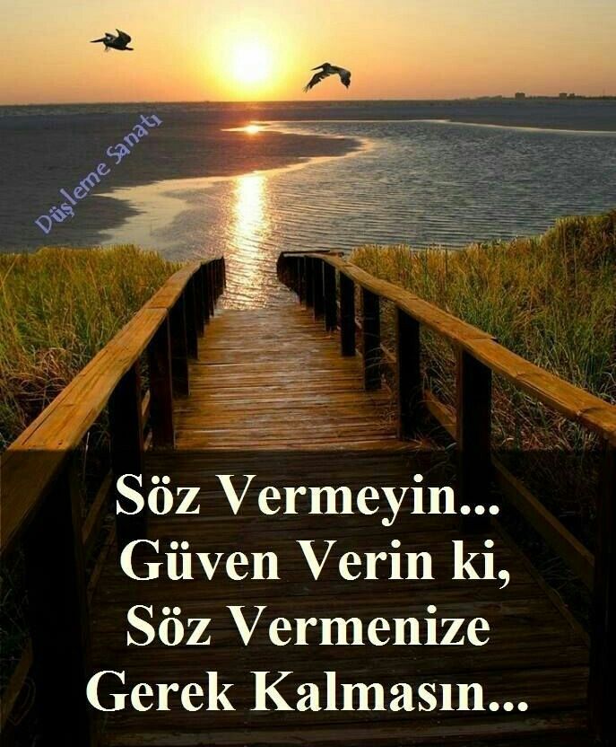 F753257E73E919Fa9839Cd1150959397-2