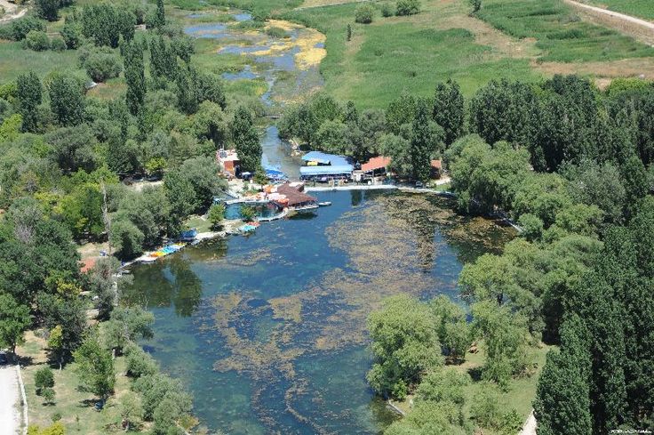 Sakaryaü