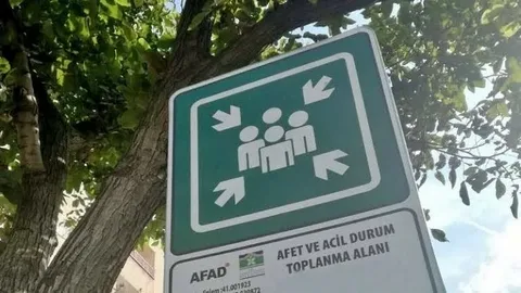 A L A N-1